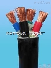 BPVVP变频电缆