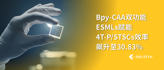 協同Bpy-CAA電子選擇性分子層 疊層PSCs突破30%！