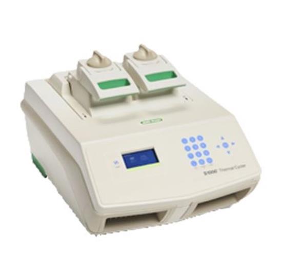 从实验室到产业：S1000梯度PCR仪的全场景应用解析