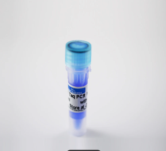 载体构建实验常见问题及解决办法