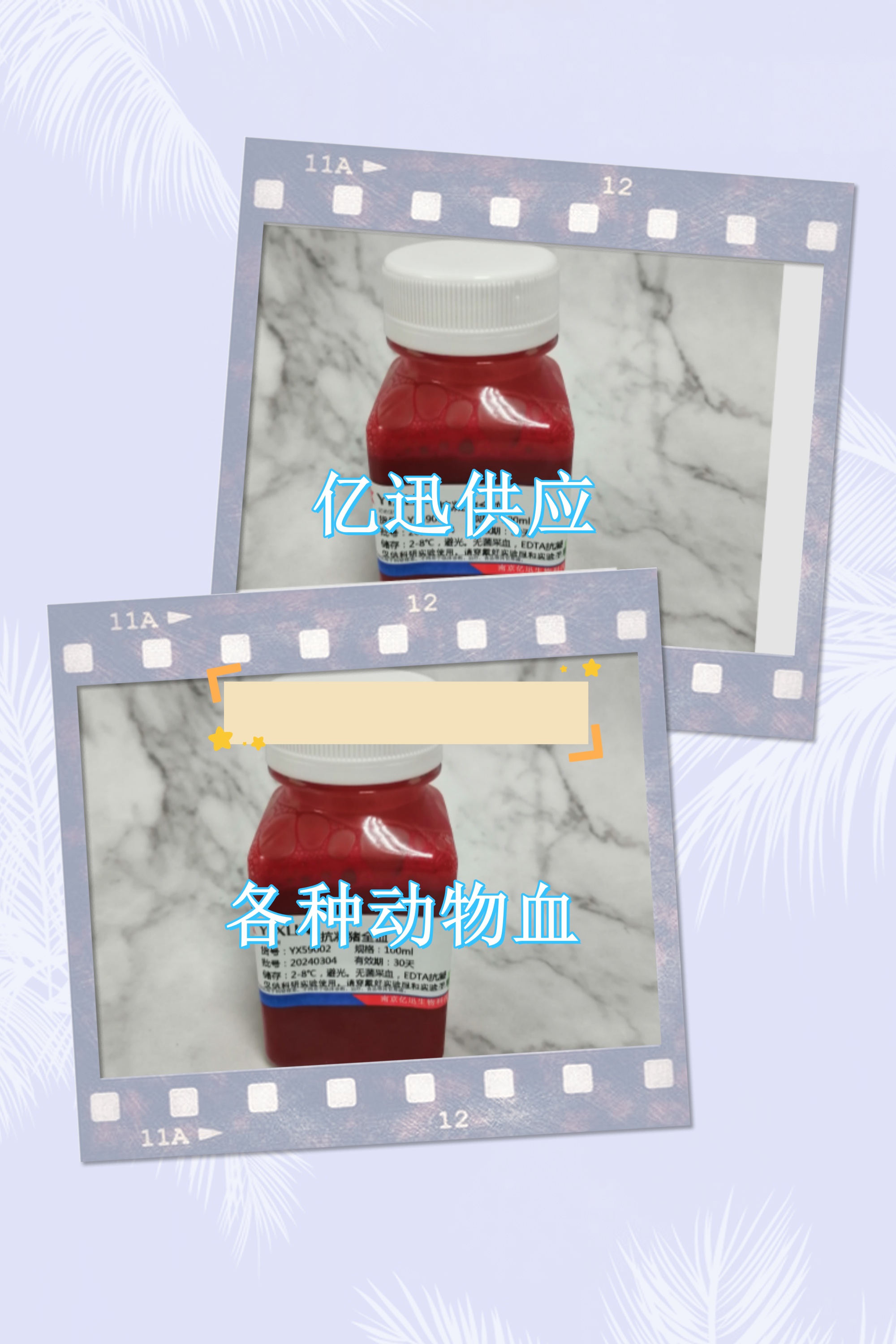 抗凝小鼠血应该如何保存呢？