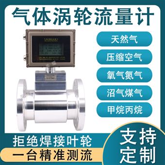 气体涡轮流量计天然气煤气氮气丙烷测量