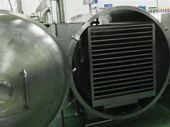 中型食品凍干機