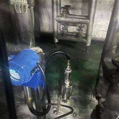 RFND-6918瑞峰在線微振粘度計-高溫型加長款