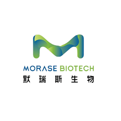 ab8226抗β-Actin小鼠单克隆抗体