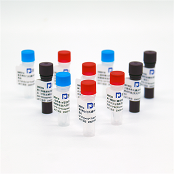 大肠杆菌噬菌体MS2核酸参考品（热灭活）（强阳性）4