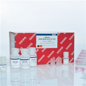 80204AllPrep DNA/RNA Mini Kit試劑