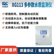XG113多参数水质监测仪(箱式)