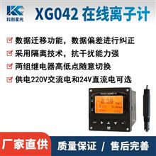 XG042在线离子计