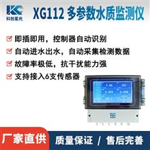 XG112多参数水质监测仪(壁挂式)
