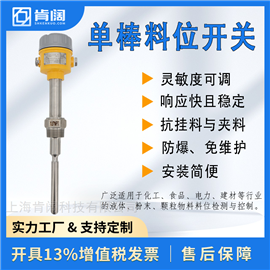 316不锈钢 顶装电容式单棒料位开关
