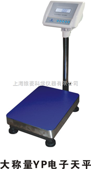 大稱量電子天平
