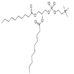 cas：3436-44-0，L-A-癸酰磷脂酰胆碱