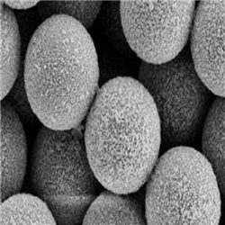 介孔二氧化硅包金納米粒子100nm