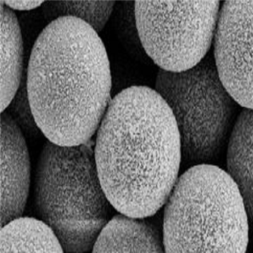 介孔二氧化硅包金纳米粒子100nm