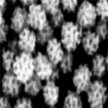 介孔鉑納米顆粒