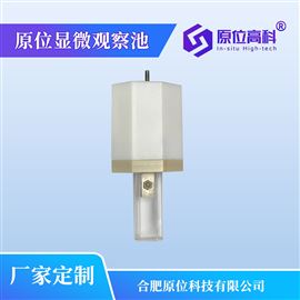 原位显微观察池
