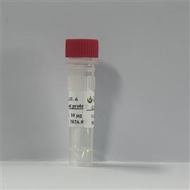 新品试用-重组人白介素-6