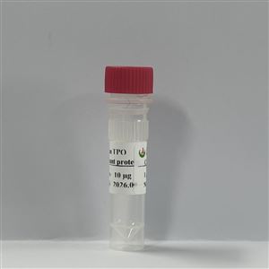 新品试用-重组人血小板生成素