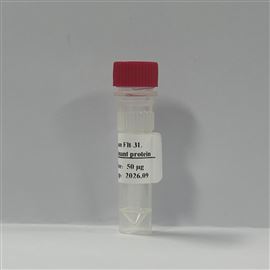 新品试用-重组人Fms-样酪氨酸激酶3配体