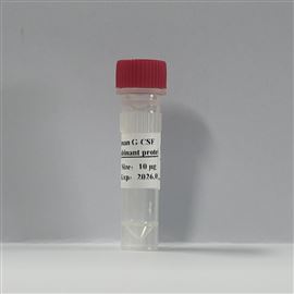 Recombinant Human G-CSF