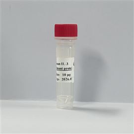 Recombinant Human IL-3