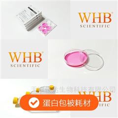 WHB-CCF75-LC多聚賴氨酸包被75cm²密封蓋培養(yǎng)瓶