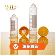 WHB-SP摇管管盖