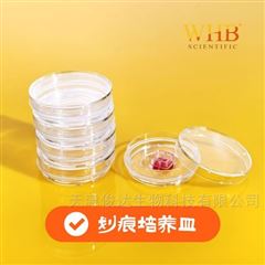 WHB-35-20-H35mm細胞劃痕培養皿