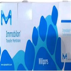 IPVH00010PVDF膜(26.5cm*3.75m 0.45um)