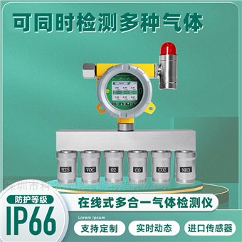 在线式多合一气体检测仪