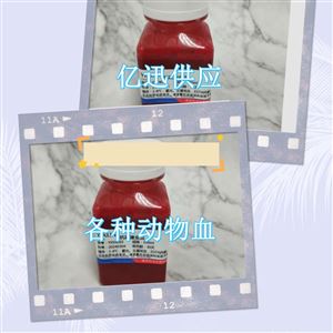 柠檬酸钠抗凝豚鼠血