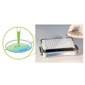 HTD 12-14kDa Dialysis Membrane Strips