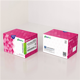 MagaBio plus病毒DNA/RNA纯化试剂盒Ⅱ