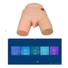 移动交互式男性导尿智能模拟考核系统