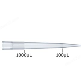 跨境NICHIRYO立洋Nichimate AQUA 筆尖