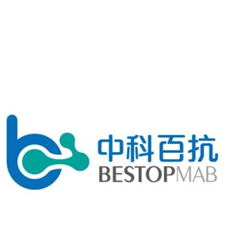 BM31001国产优级胎牛血清