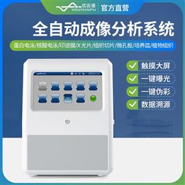 YP-HFG化學發光熒光成像系統檢測儀