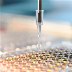 5D-11101G抗人a1-抗胰蛋白酶 試劑