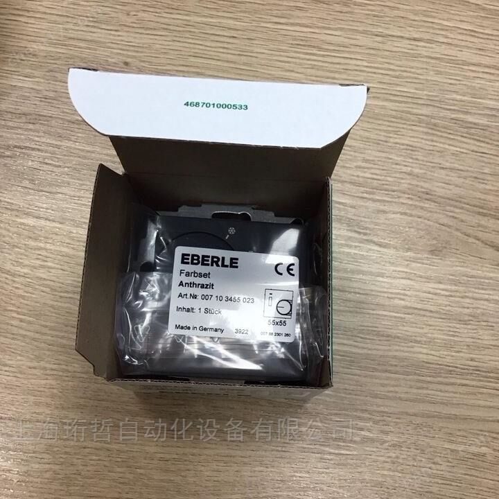 LSW-1空氣流量檢測器EBERLE溫控器080053140