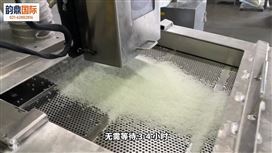 塑料粒子色差黃指在線檢測(cè)