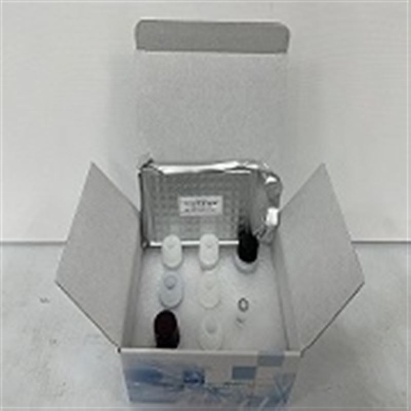 小鼠骨成型蛋白7(BMP-7)ELISA试剂盒