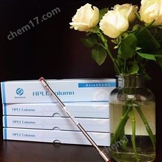 液相色譜柱91182545琛航