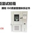 YSGJS-500恒溫恒濕試驗箱