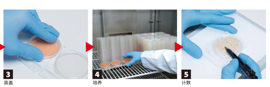 微生物快速測試片—菌落總數(shù)