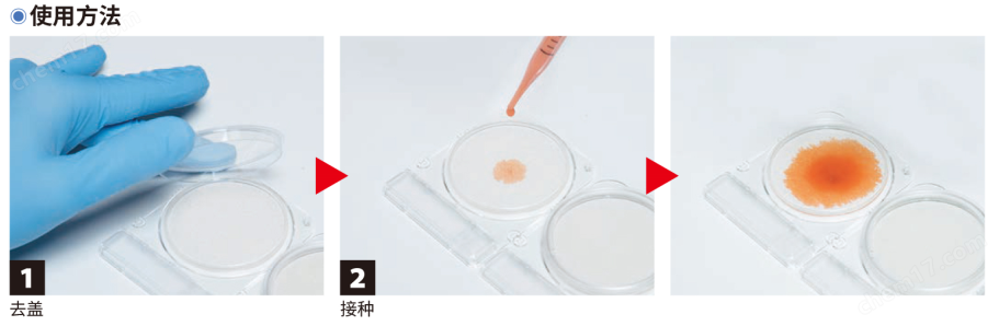 06532快速測試片—單核細胞增生李斯特氏菌