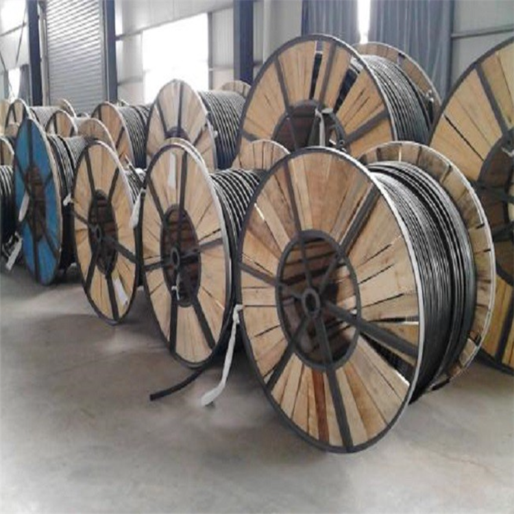 高壓電纜與低壓電纜同橋架注意事項(xiàng)