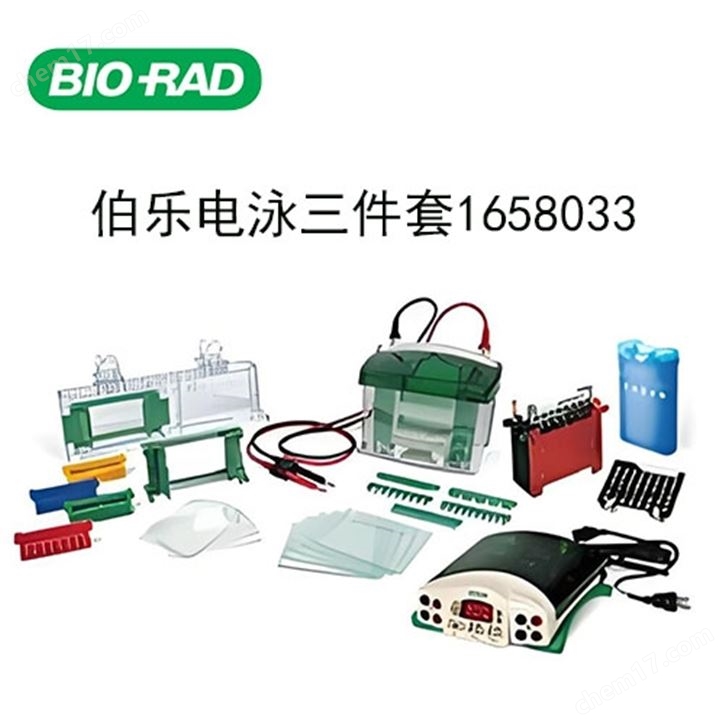 Bio-Rad伯乐垂直电泳套装1658033