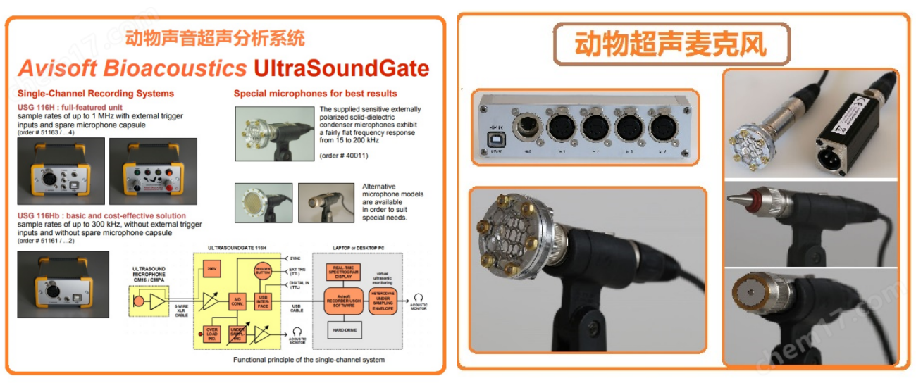 image.png 多通道动物超声播放器