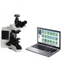 LB-AlgaeC型浮游生物智能鑒定計數儀系統水質分析